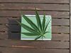 Can CBD really combat menstrual pain?
