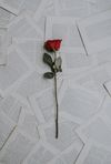 Is your self-love performative? Here's how to prevent it