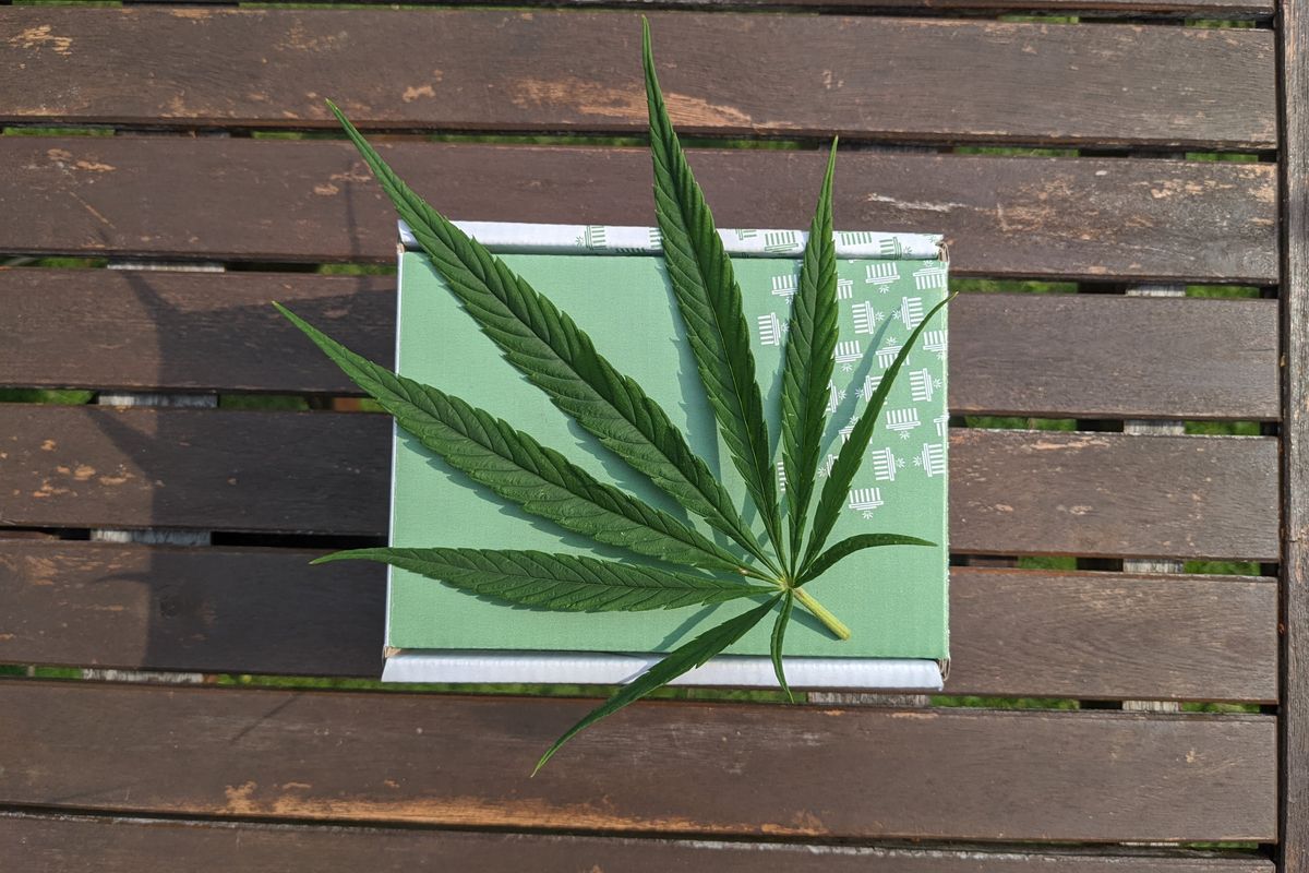 Can CBD really combat menstrual pain?