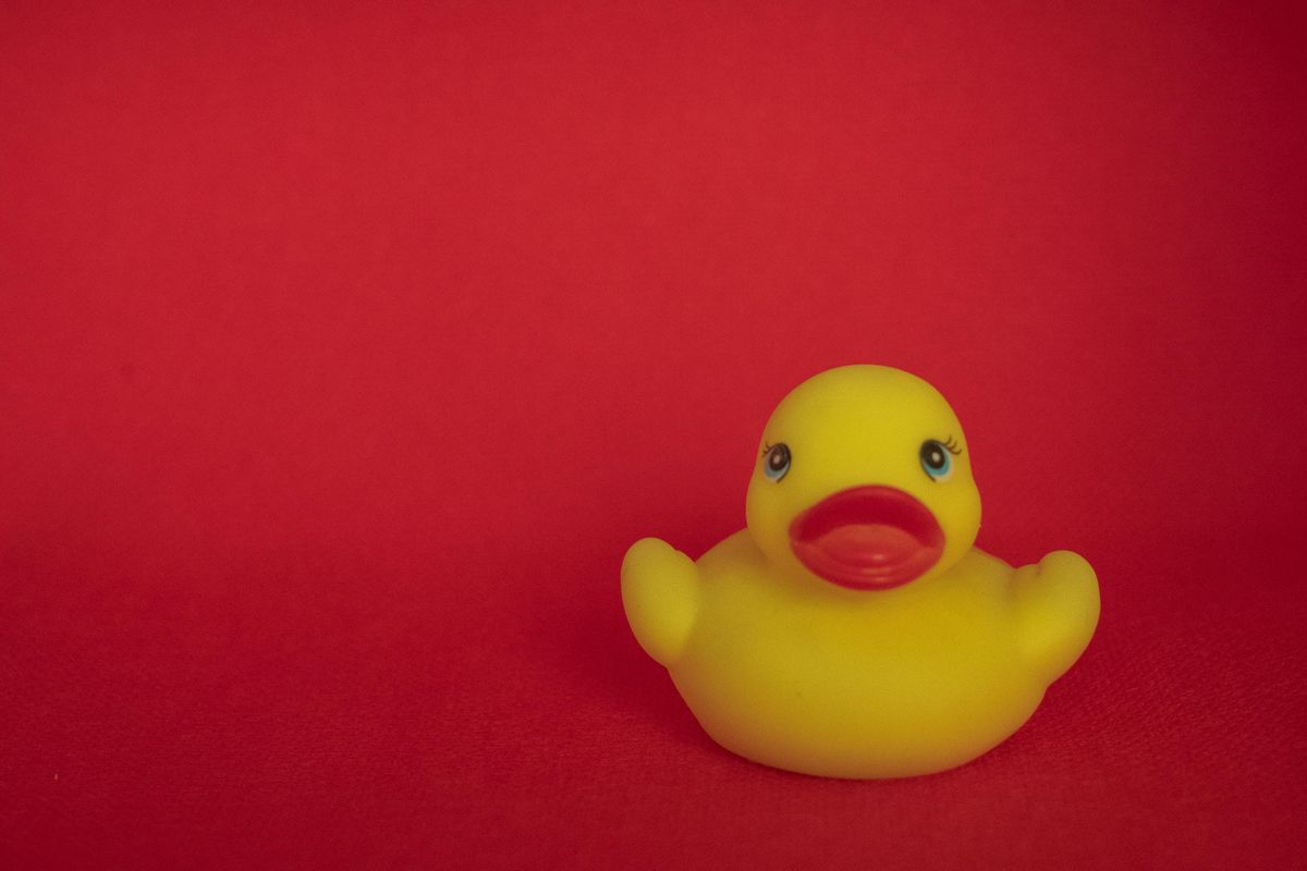 If you don't know, now you know: What the term "lame duck" actually means